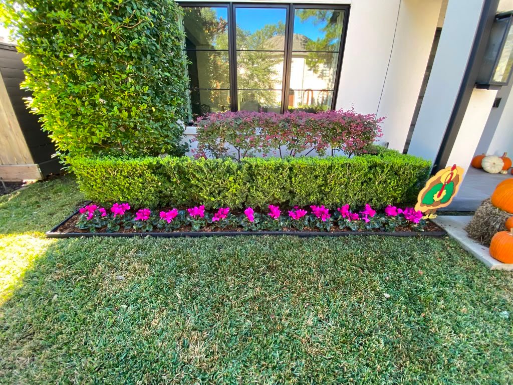 Residential planting detail by Rainlandscaping